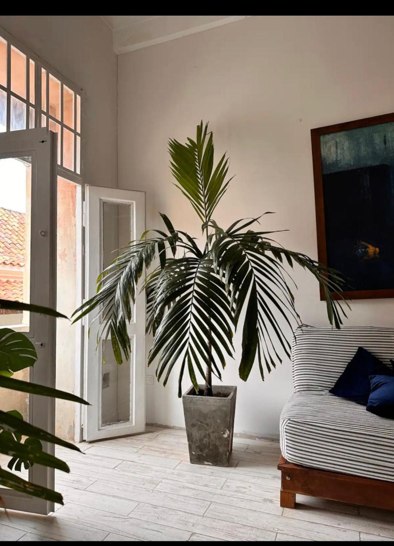Beautiful Duplex In Old Town With Balcony Apartment